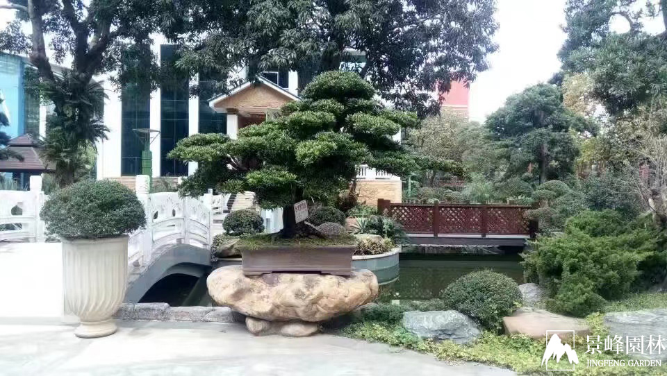沙河高爾夫別墅_2