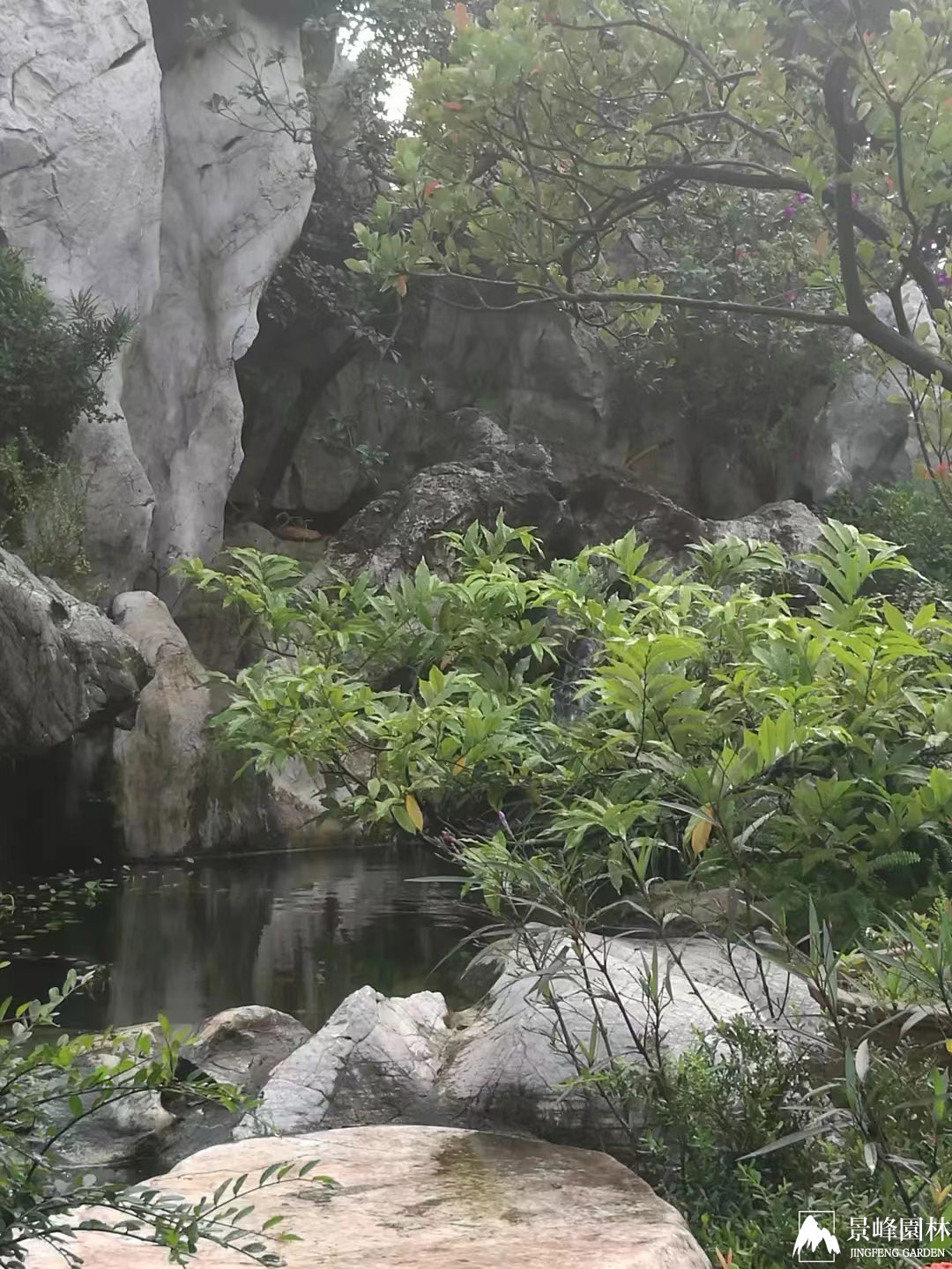 會(huì)所假山_7