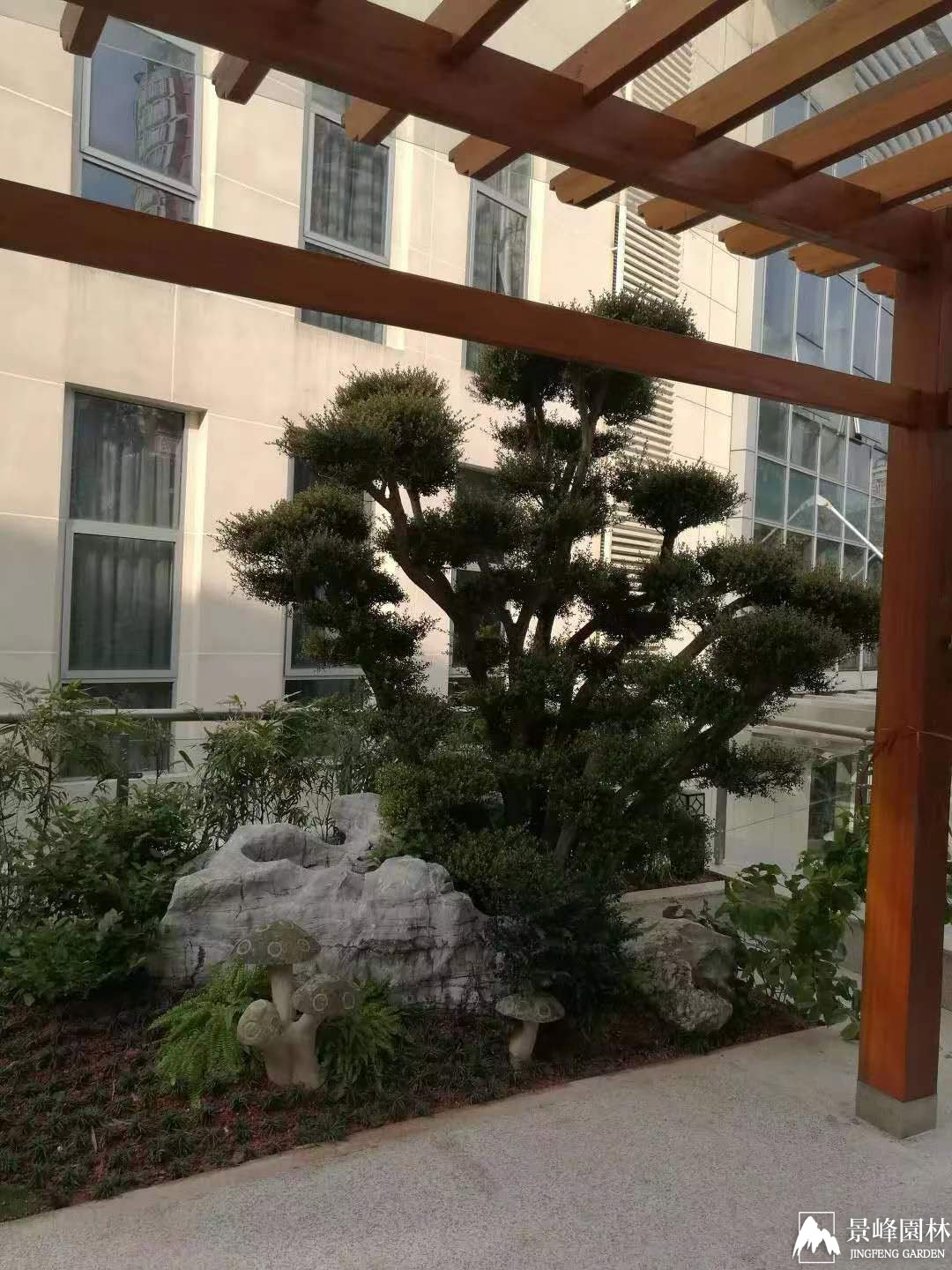 沙河高爾夫辦公室陽臺_0